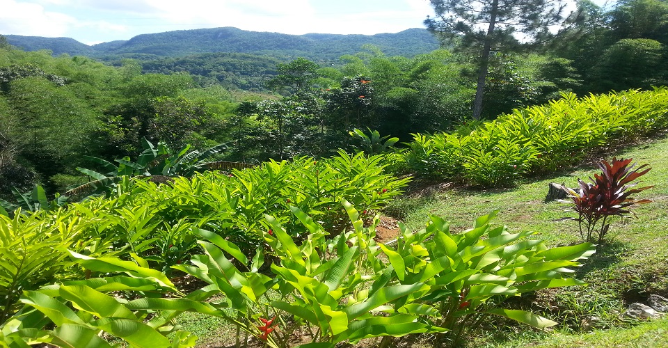 Chalis Car Rental - CROYDON IN THE MOUNTAINS