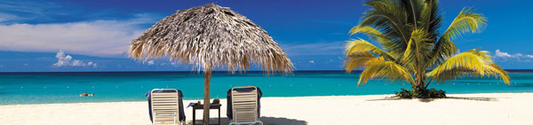 Frequently Asked Questions - Jamaican Car Rental & Rates - Welcome to Chalis Car Rental & Tours Jamaica of Montego Bay, Jamaica W. I. - The best Montego Bay, Jamaican car rental company - Coming to Jamaica!  See Chalis Car Rental first, we take you everywhere in Jamaica - www.chaliscarrentaljamaica.com, www.chaliscarrentaljamaica.net, www.chaliscarrentalmontegobay.com. www.chaliscarrentalmontegobay.net